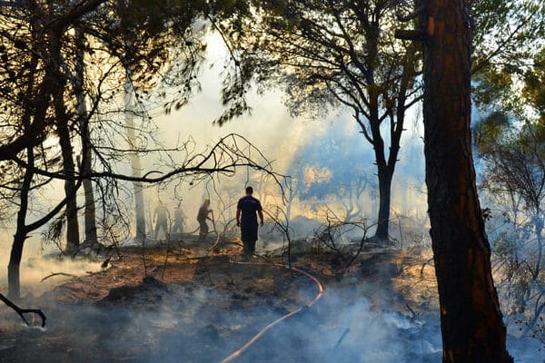 Verste år med skogbranner i Spania siden 1994