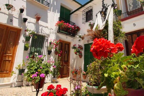 Her produseres verdens beste olivenolje